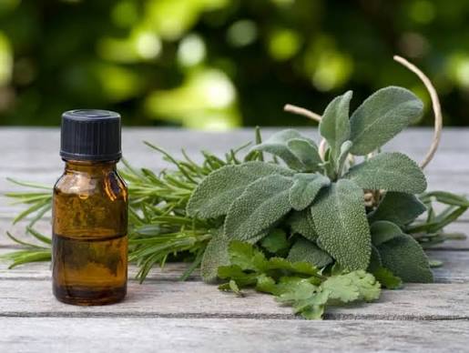 Hebal Oils